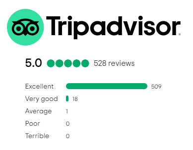 Tripadvisor Reviews